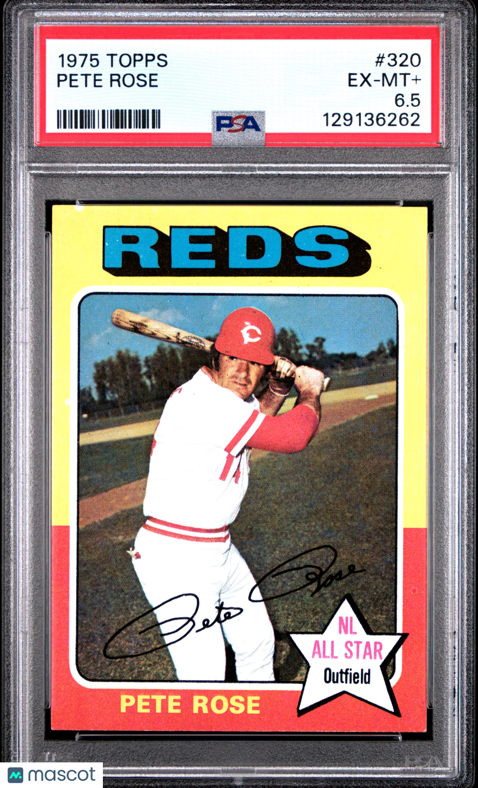1975 Topps Pete Rose #320 PSA 6.5