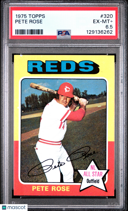 1975 Topps Pete Rose #320 PSA 6.5
